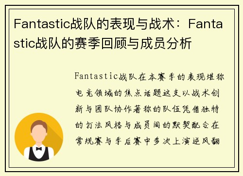 Fantastic战队的表现与战术：Fantastic战队的赛季回顾与成员分析