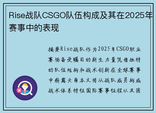 Rise战队CSGO队伍构成及其在2025年赛事中的表现