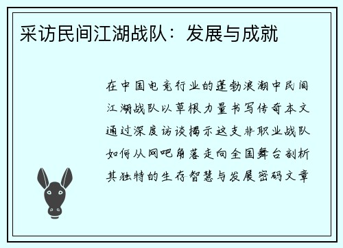 采访民间江湖战队：发展与成就